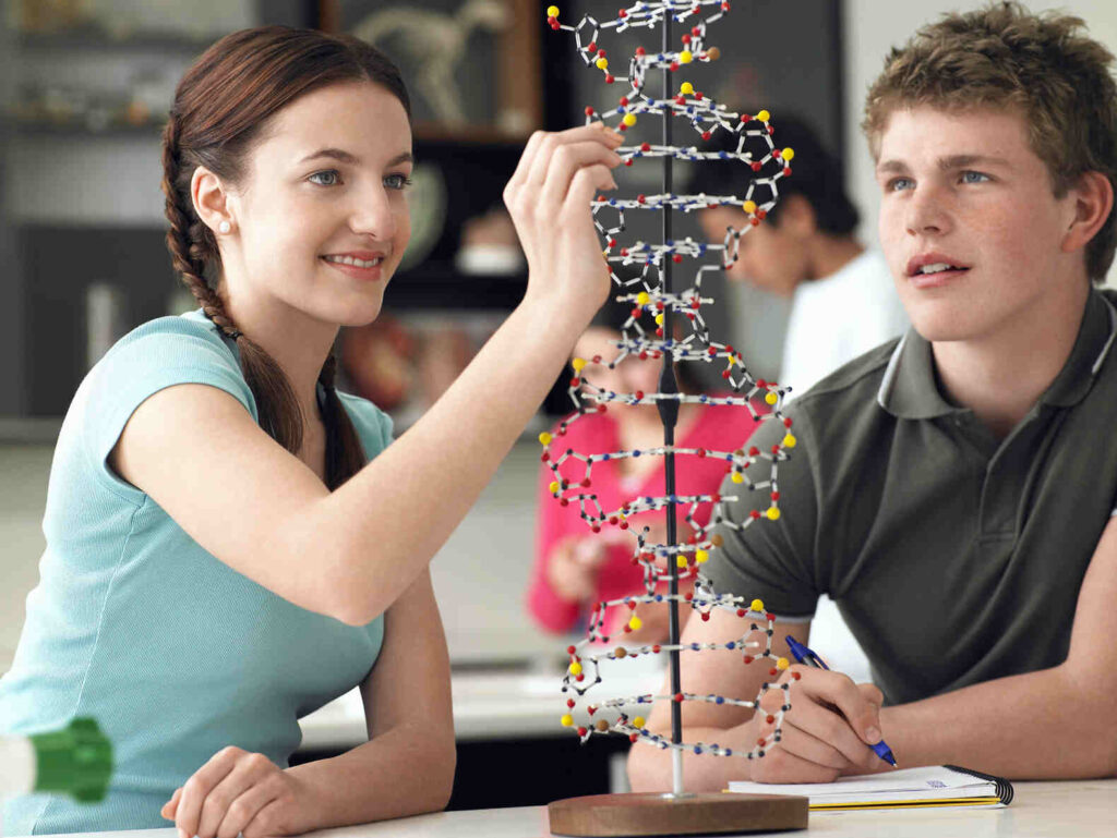 Students examining a molecular model of DNA