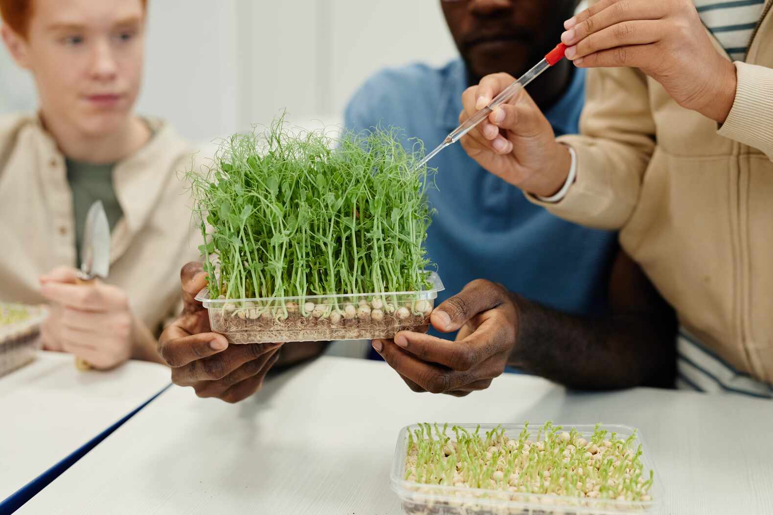 Students watering a plant